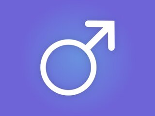 Andreazorra